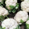 Cauliflower