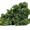 Fresh leafy kale