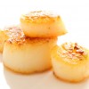 Pan seared sea scallops